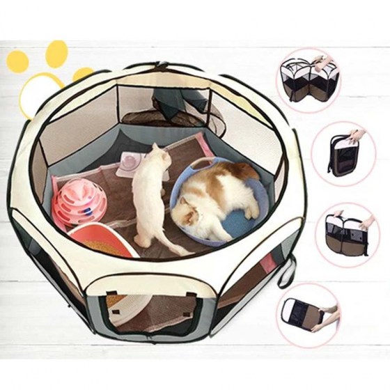 tent2